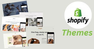 Custom Shopify Theme